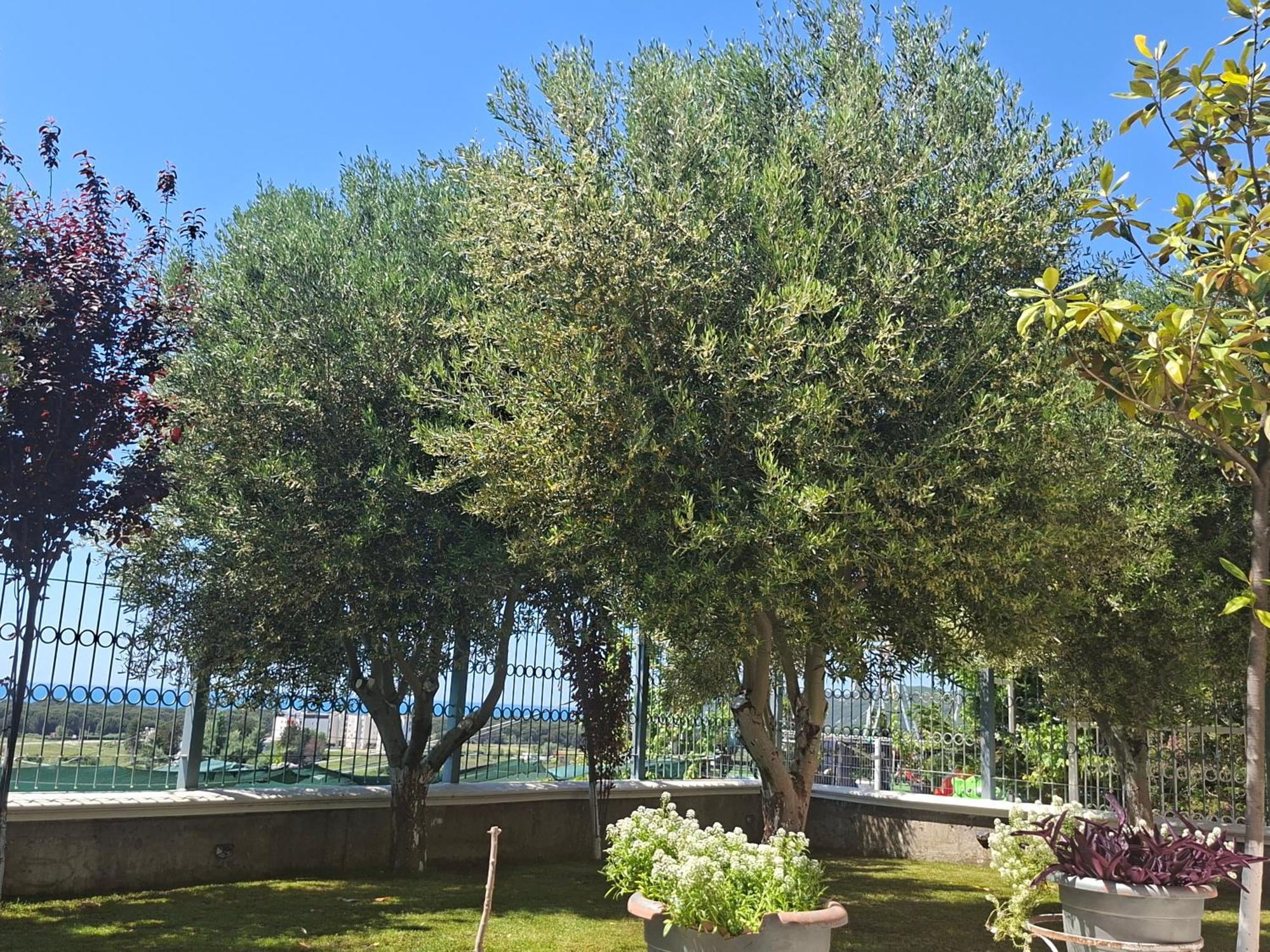 Villa Luiss Panorama Durrës 외부 사진